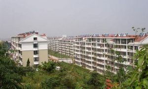 逍遙社區居委會