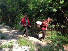 百草村[山東省濰坊市青州市王墳鎮西股村百草村]