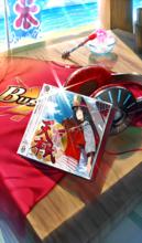 天下布武 ~2017summer.ver~