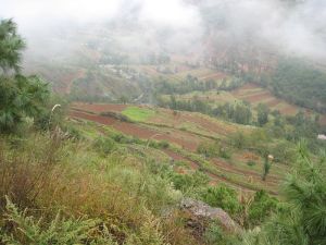 大紅地村 大紅地村