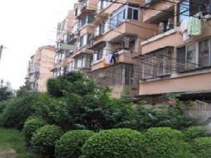 莘中新村 莘中新村