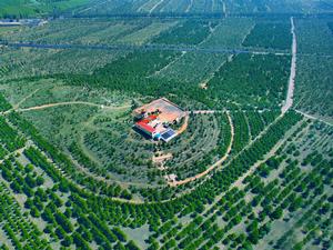 山西省桑乾河楊樹豐產林實驗局 山西省桑乾河楊樹豐產林實驗局