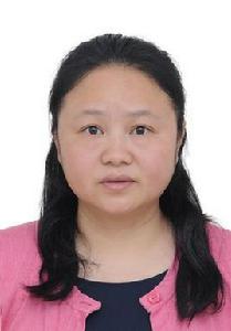 鄒艷紅[湖南大學物理與微電子科學學院教授]