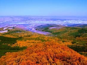 擁翠山濕地公園 擁翠山濕地公園