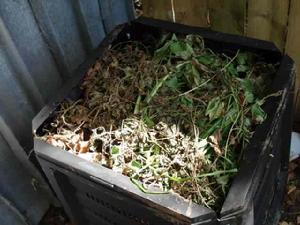 有機垃圾 有機垃圾