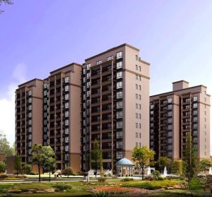 華福國際 華福國際