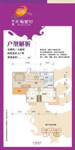 文昌天海紫貝 文昌天海紫貝