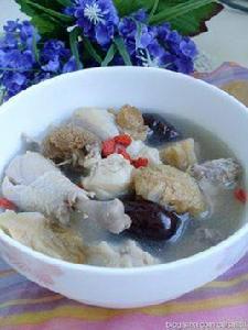 猴頭菇燉雞湯 猴頭菇燉雞湯