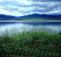 米埔沼澤地及深圳灣 米埔沼澤地及深圳灣