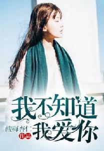 我不知道我愛你[九庫文學原創作品]