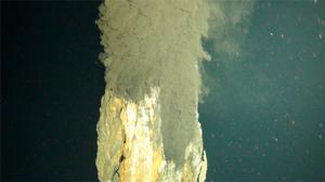 科學家在加勒比海海底開曼海溝，發現了迄今世界上最深的海底熱液噴發口，位於5000米的深海下。