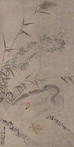 蘆雁圖軸 蘆雁圖軸