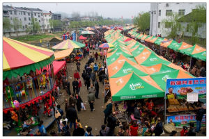 舊街花朝節 舊街花朝節