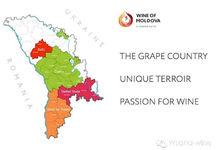 摩爾多瓦葡萄酒產區圖