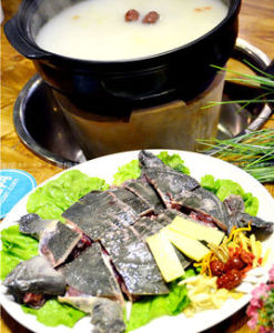 打邊爐甲魚 打邊爐甲魚