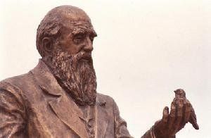 達爾文紀念塑像