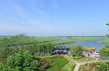 建湖縣 九龍口風光 高清大圖4