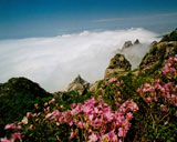 嶗山風景名勝區