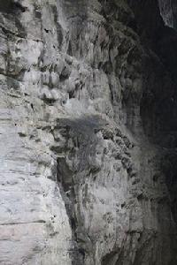 四川威遠小河鎮 四川威遠小河鎮