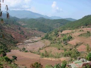 那免自然村 那免自然村