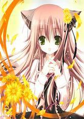 夏夜之夢[千紫刑創作的小說]