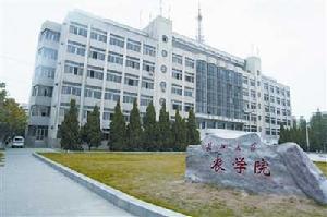 天津師範大學歷史文化學院 天津師範大學歷史文化學院