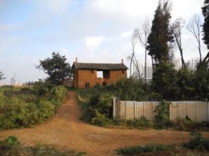 大水塘村 大水塘村