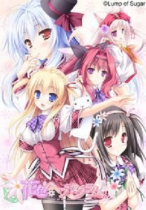 花色溫泉鄉 花色溫泉鄉