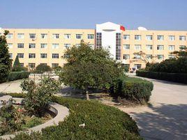 武清區教育區 武清區教育區