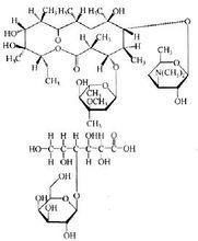 注射用乳糖酸紅黴素