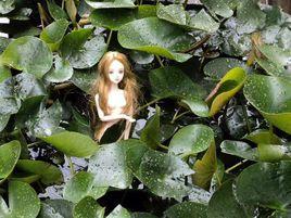 池中水妖 池中水妖