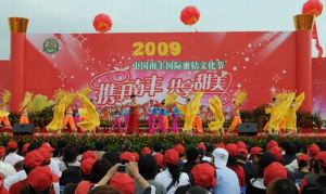 南豐國際蜜桔文化節 南豐國際蜜桔文化節