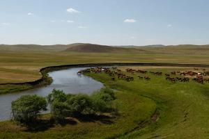 三河馬旅遊景區 三河馬旅遊景區