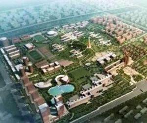 煙臺格羅寧根大學 煙臺格羅寧根大學