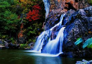 浙江五泄國家森林公園