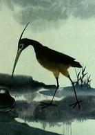 鷸蚌相爭[1983年上海美術電影製片廠製作、出品電影]