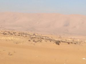 其甘沙漠旅遊區 其甘沙漠旅遊區