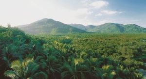 青皮林自然保護區 青皮林自然保護區