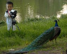 小攝像師吳啟源小朋友