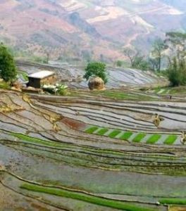 墨江哈尼族自治縣