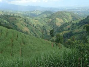 雲南省德宏州潞西市五岔路鄉勐廣自然村
