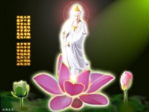 王龍舒國學 王龍舒國學