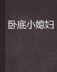 臥底小媳婦 臥底小媳婦