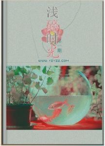 淺碎時光 淺碎時光