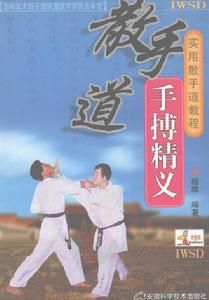 散手道手搏精義 散手道手搏精義