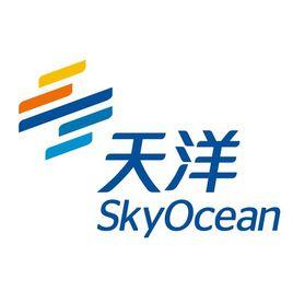 天洋控股 天洋控股