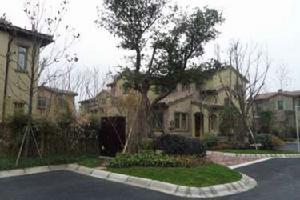 麓山國際翠雲嶺