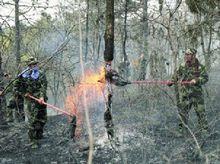 4&middot;17棋盤山山火