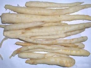 明柄體參 明柄體參