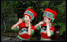 木葉情歌 木葉情歌